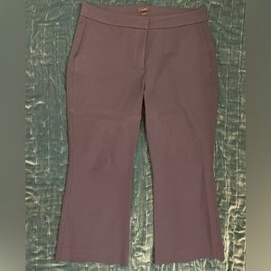 Navy hayden jcrew kick out crop.